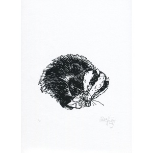 11_sleepy_badger_30x30_melissahalley_200