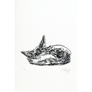 14_sleepy_fennec_30x30_melissahalley_200