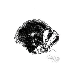 greetingcard_sleeping__badger_melissa_halley