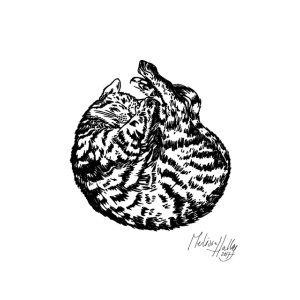 greetingcard_sleeping__cat_melissa_halley