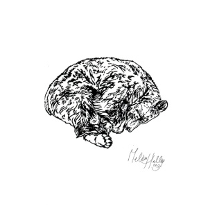 greetingcard_sleeping_brown_bear_melissa_halley