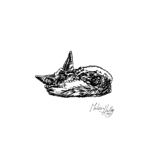 greetingcard_sleeping_fennec_melissa_halley