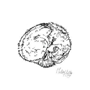 greetingcard_sleeping_wolf_melissa_halley