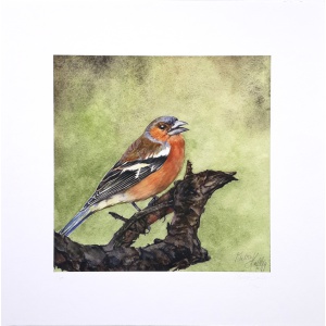 melissahalley_chaffinch_vink_artprint_giclee_72