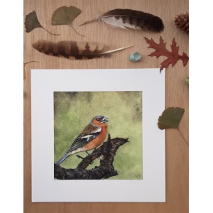 melissahalley_chaffinch_vink_artprint_giclee_nature_72