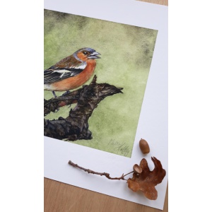 melissahalley_chaffinch_vink_artprint_giclee_signature_72