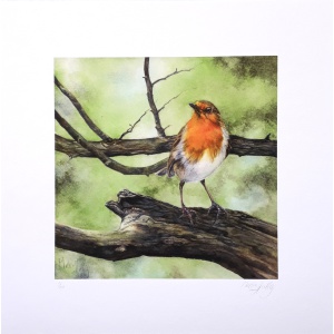 melissahalley_europeanrobin_roodborst_artprint_giclee_72