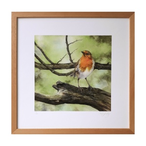 melissahalley_europeanrobin_roodborst_artprint_giclee_frame_72