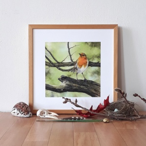 melissahalley_europeanrobin_roodborst_artprint_giclee_insitu_72