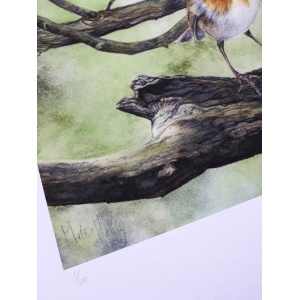 melissahalley_europeanrobin_roodborst_artprint_giclee_numbering_72