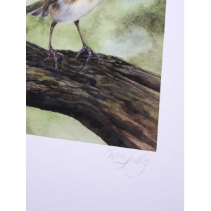 melissahalley_europeanrobin_roodborst_artprint_giclee_signature_72