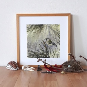 melissahalley_goldcrest_goudhaan_artprint_giclee_insitu_72