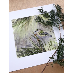 melissahalley_goldcrest_goudhaan_artprint_giclee_numbering_72