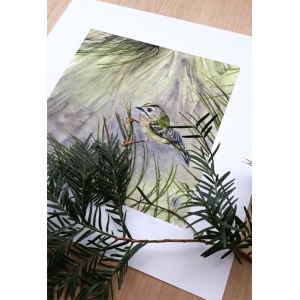 melissahalley_goldcrest_goudhaan_artprint_giclee_signature_72