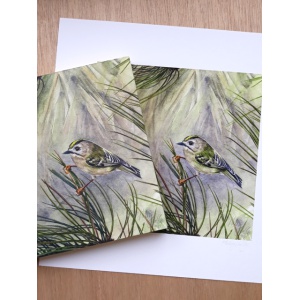 melissahalley_goldcrest_goudhaan_artprint_giclee_watercolour_72