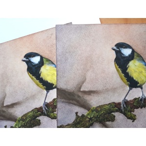 melissahalley_greattit_koolmees_artprint_giclee_watercolour_72