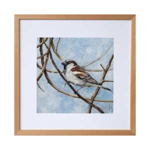 melissahalley_housesparrow_huismus_artprint_giclee_frame_72