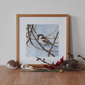 melissahalley_housesparrow_huismus_artprint_giclee_insitu_72