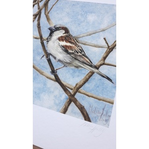 melissahalley_housesparrow_huismus_artprint_giclee_signature_72