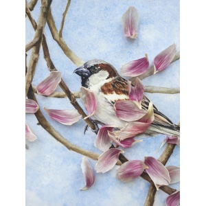 melissahalley_housesparrow_huismus_artprint_giclee_zoomin72