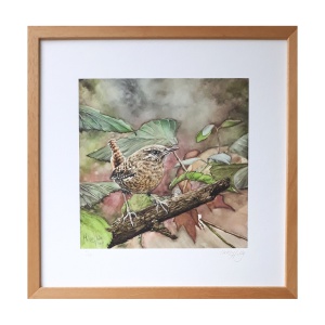 melissahalley_wren_winterkoning_artprint_giclee_frame_72