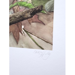 melissahalley_wren_winterkoning_artprint_giclee_signature_72