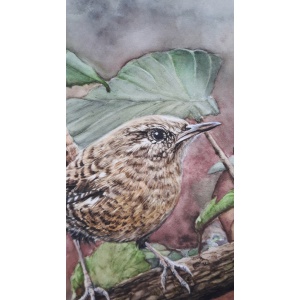 melissahalley_wren_winterkoning_artprint_giclee_zoomin72