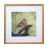 melissahalley_chaffinch_vink_artprint_giclee_frame_72