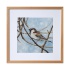 melissahalley_housesparrow_huismus_artprint_giclee_frame_72