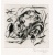 20060407_hazel_dormouse_2_melissahalley