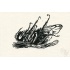 20160507_bumblebee_hommel_melissahalley