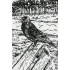 20160517_jackdaw_kauw_melissahalley