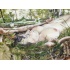 20161107_sleep_iii_ophelia_melissahalley_2