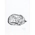 7_sleepy_fox_30x30_melissahalley_200